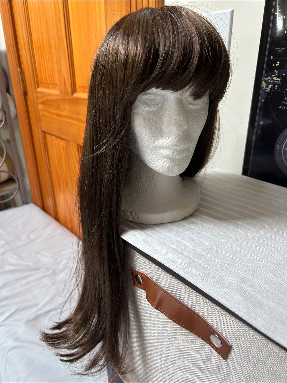 Blush Long Straight Wig with Full Bangs — Dark Brown